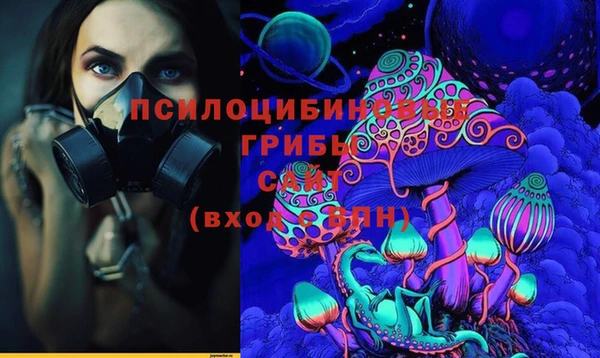 ALPHA-PVP Богородицк