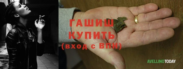 крисы Бородино