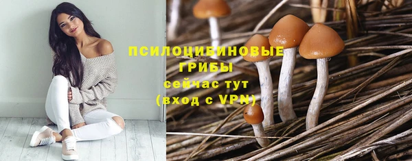 наркотики Богданович