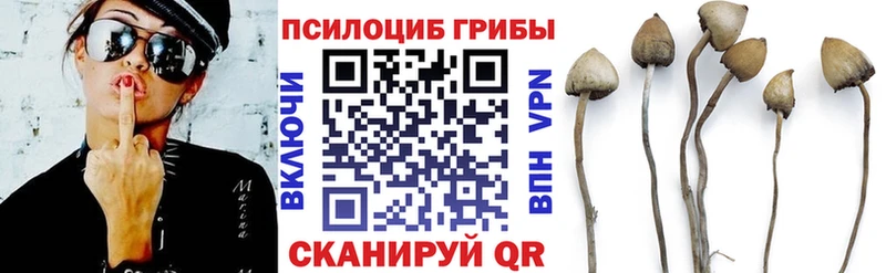Псилоцибиновые грибы GOLDEN TEACHER  Могоча 