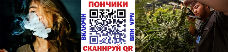 где продают   Могоча  Конопля семена 
